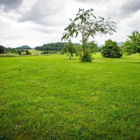 200m2 Avec Piscine Chauffée&spa&sauna&kota-grill Villa Laval-sur-Vologne