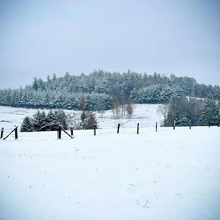 200m2 Avec Piscine Chauffée&spa&sauna&kota-grill Laval-sur-Vologne