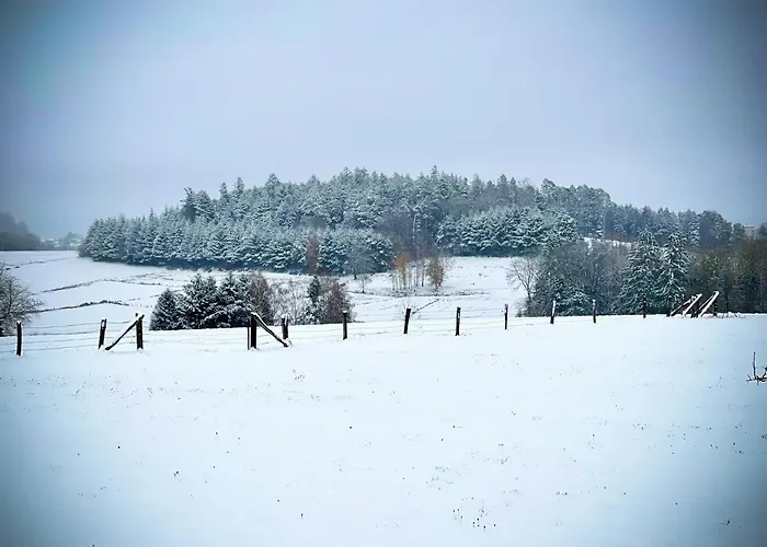 200m2 Avec Piscine Chauffee & & Sauna & Kota-grill Laval-sur-Vologne